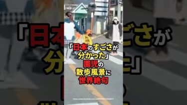 【海外の反応】「日本のすごさが分かった」園児の散歩風景に世界絶句#shorts