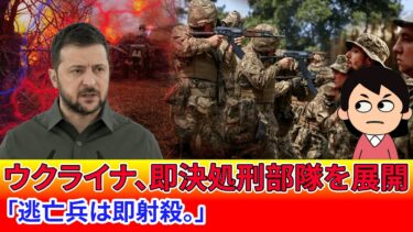 【世界史ニュース】ウクライナにおける深刻な人権侵害：命令に背いた兵士の即決処刑