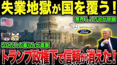 【ゆっくり解説】アメリカ財政・社会危機２０２５…崖っぷちの現実！  【海外の反応】