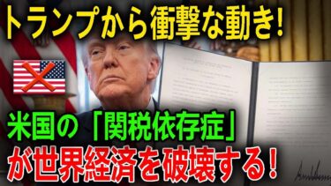 【ゆっくり反応】米国の「関税依存症」が世界経済を破壊する！トランプ政権が電撃発表！米国大騒ぎ! 日米同盟、崩壊の危機！【政治解説】