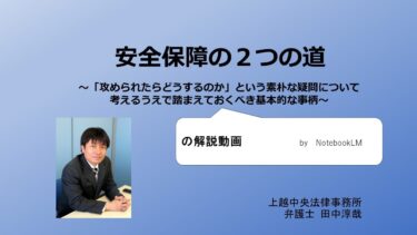 安全保障への二つの道：日本の防衛戦略の分析