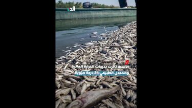التغيرات المناخية.. الزراعة توضح أسباب نفوق الأسماك في بحيرة المنزلة