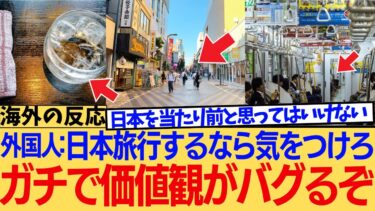 【海外の反応】「マジで日本から帰りたくない…」旅行に来た外国人の価値観を完全に破壊した日本の魅力とは？ただの観光じゃない、“人生を変える体験”に対する海外ニキたちの反応集
