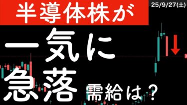 日本の半導体株が一気に急落！そのとき需給は？　#米国株 #日経平均