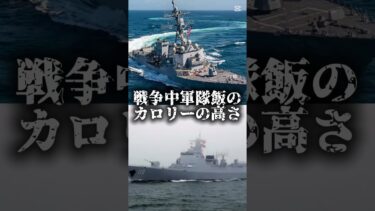 アメリカ軍VS中国軍事力です。#地理系#地理系を終わらせない #地理系を救おう