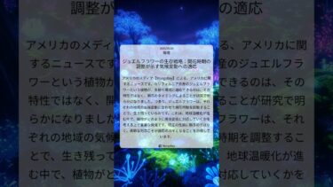 ジュエルフラワーの生存戦略：開花時期の調整が示す気候変動への適応｜Mongabay｜2025/09/20｜環境