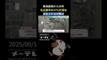 名古屋市の37％が浸水　東海豪雨から25年　異常気象が珍しくない今求められる対策は