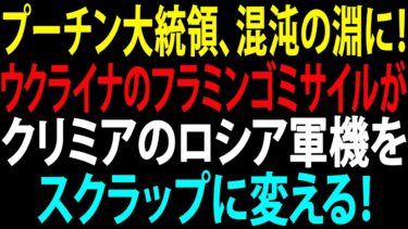 🚩【国際ニュース】プーチン大統領、混沌の淵に！ウクライナのフラミンゴミサイルがクリミアのロシア軍機をスクラップに変える！JPNews 360