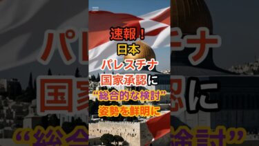【速報】日本も検討へ！パレスチナ国家承認に岩屋外相が言及