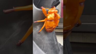 驚愕！！超巨大なセミの抜け殻を発見！！異常気象の影響か！？