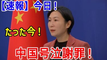 【日本の最終兵器】中国を完全破壊！半導体供給ストップで150兆円の大損害‼