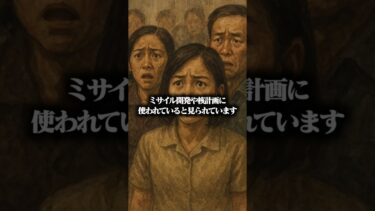 【国家予算】国民よりもミサイル？北朝鮮の税金の行方とは？#Shorts