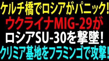 🚩【国際ニュース】ケルチ橋でロシアがパニック！ウクライナMiG-29がロシアSu-30を撃墜！クリミア基地をフラミンゴで攻撃！JPNews 360