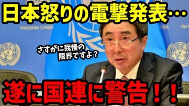 【海外の反応】衝撃!!「まさか日本が･･･  」国連が声明を発表した結果w【関連動画2本】