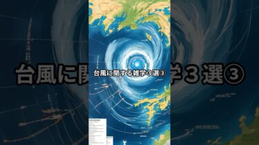 台風に関する雑学３選③　#歴史 #雑学 #台風  #日本 #異常気象
