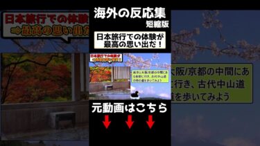 【海外の反応】日本旅行での体験が、最高の思い出だ！　#海外の反応 #日本食 #日本文化