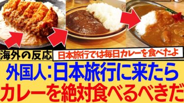 【海外の反応】日本のカレーがウマすぎると海外で話題沸騰！スーパーで買えるルウやレトルトのレベルの高さに外国人もビックリ仰天！その秘密とは？に対する海外ニキたちの反応集