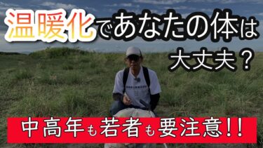 熱中症だけじゃない！温暖化で発症リスクが高まる病気と予防法とは？【海岸清掃 #97】