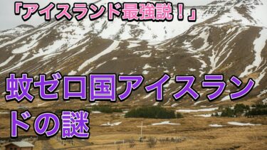 「蚊ゼロのアイスランド、その秘密と気候変動の影響」