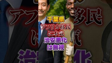 【移民問題｜アフリカ移民】千葉県｜ムスリム受入環境整備 推進【自民党｜石破茂】日本人ファースト