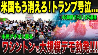 【ゆっくり解説】アメリカに何が起きている？経済混乱と大規模デモ【海外の反応】