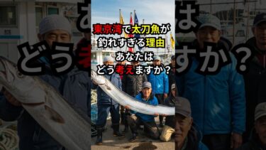 2025年の東京湾……“異常な釣果”が出ている事知っていますか？#釣り #太刀魚 #異常気象