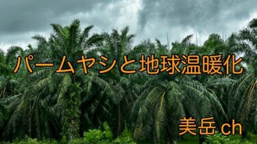 パームヤシと地球温暖化