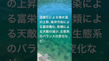 海を眺めながら‥#海釣り #うみ #地球温暖化 #釣り#つり