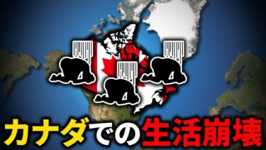 なぜカナダでの生活は崩壊してるのか？【ゆっくり解説】