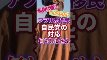 【移民問題】アフリカ ホームタウン構想｜政府答弁 母国へ帰国させる【ナイジェリア】日本人ファースト
