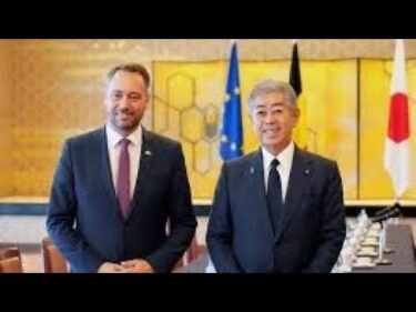 日本、パレスチナ国家承認を見送り　岩屋外相「和平には逆効果」と説明#日本外交 #パレスチナ #イスラエル #中東和平 #国連 #ガザ情勢 #岩屋毅 #国際政治