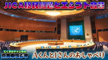AくんとIさんのおしゃべり JICA移民問題とエジプト合意（てくまぎチャンネル 真夜中ラジオ）