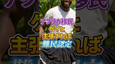 【移民問題｜アフリカ移民】●●と言えば難民認定｜抜け穴発見【自民党｜石破茂】日本人ファースト