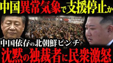 中国の異常気象。上級国民はミネラルウォーター農民は毒水…水求め一斉暴動【解説】