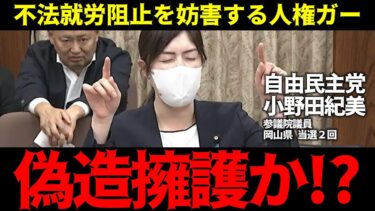 【自民党・小野田紀美】人権ガ－の妨害か!?マイナンバーを何で活用しないの？【参議院特別委員会2025年5月14日】