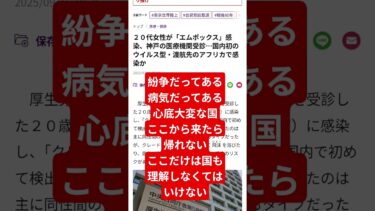 アフリカ移民問題 #石破茂 #名言 #岸田文雄