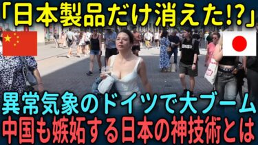 【海外の反応】「日本製品だけ消えた…」異常気象のドイツでアレが大ブーム。中国も嫉妬する日本の神技術とは