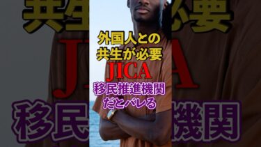 【移民問題】JICA｜正体は移民推進機関｜アフリカ移民 ホームタウン【自民党｜石破茂】日本人ファースト #shorts