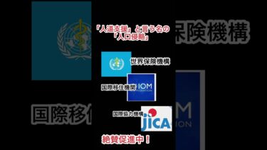 番外編#国連 #WHO#移民問題