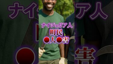 【ナイジェリア】移民問題｜市民を●害【アフリカ ホームタウン】日本人ファースト