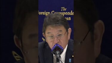 日本の未来: 私は外交と経済で国を導きます #shorts