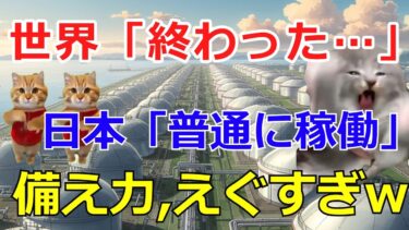 【猫ミーム】海外が驚愕！日本のエネルギー安全保障はなぜ最強なのか？　米国「大停電！」独「工場ストップ！」→日本「余裕ですけど？」日本だけ停電ゼロの理由とは？エネルギー戦略を解説