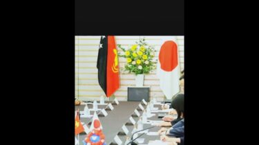 🌏日本がパプアニューギニアに重機支援！安全保障の新戦略とは？ #政治ニュース #日本政治