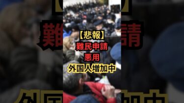 万博ビザで来日「帰りたくない」相談急増…日本の制度の穴とは？