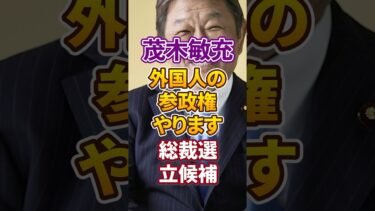 【移民問題｜外国人参政権】茂木敏充｜総裁候補｜新たな売国【自民党｜石破茂】日本人ファースト