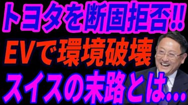 【皮肉な現実】スイスのEV推進が“環境破壊”を招いた理由とは？国民激怒の真相【海外の反応】