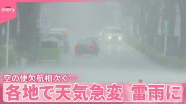 【各地で天気急変】雷雨に  空の便欠航相次ぐ…きのうの大雨影響