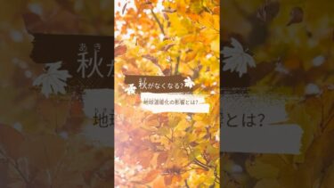 秋がなくなる？温暖化の影響