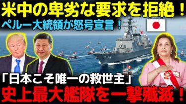 【衝撃】ペルー大統領が米中を完全拒否！「日本だけが本物の友」無条件で護衛艦を提供→史上最大の麻薬艦隊を一撃壊滅！世界が日本外交に震撼！