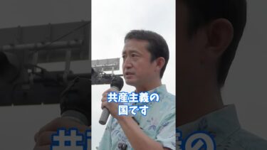 野放図な移民政策  #日本保守党　#小坂英二　#弥栄 　#小坂倶楽部　#いやさか東京